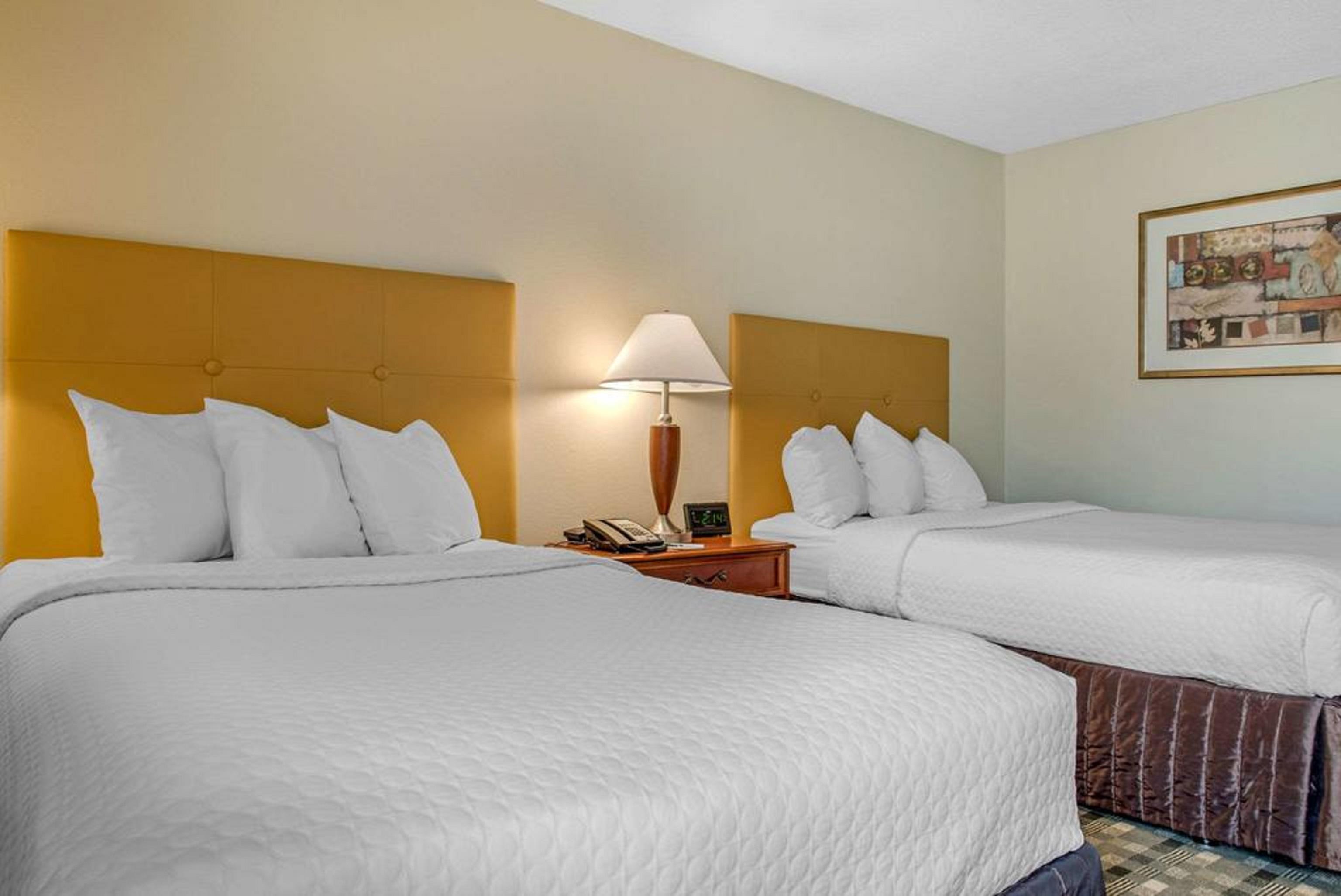 Quality Hotel Conference Center Cincinnati Блу Аш Экстерьер фото